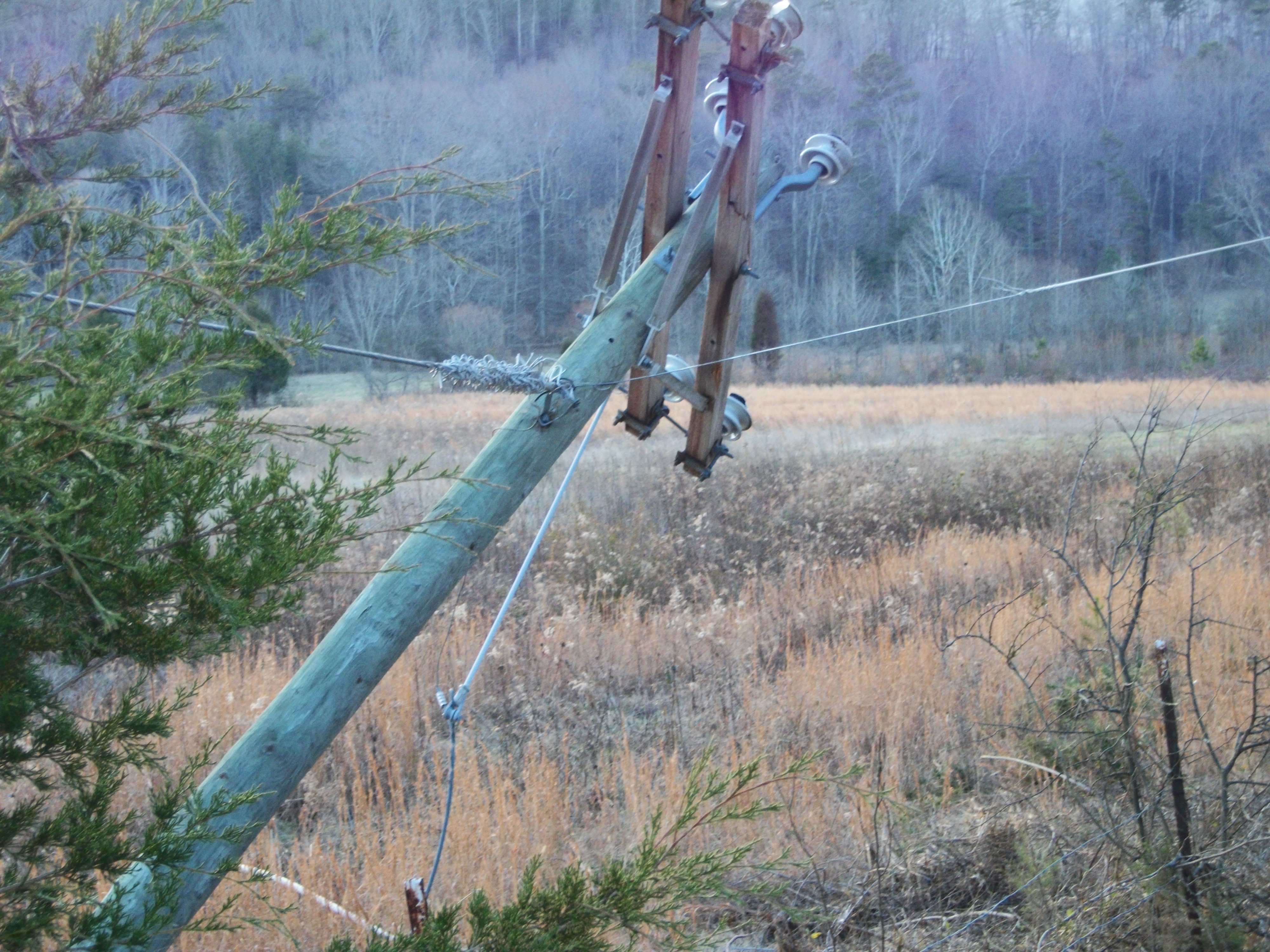 downed pole