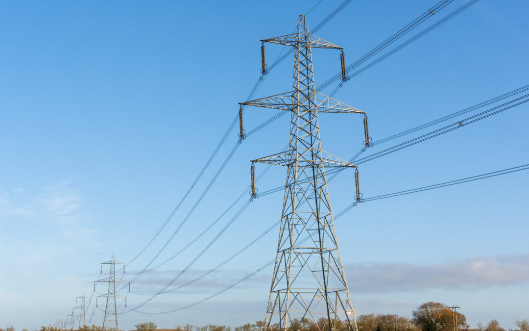 ACORE releases report