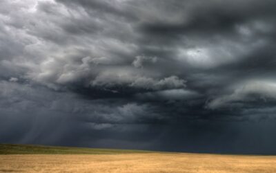The root causes: storm related outages