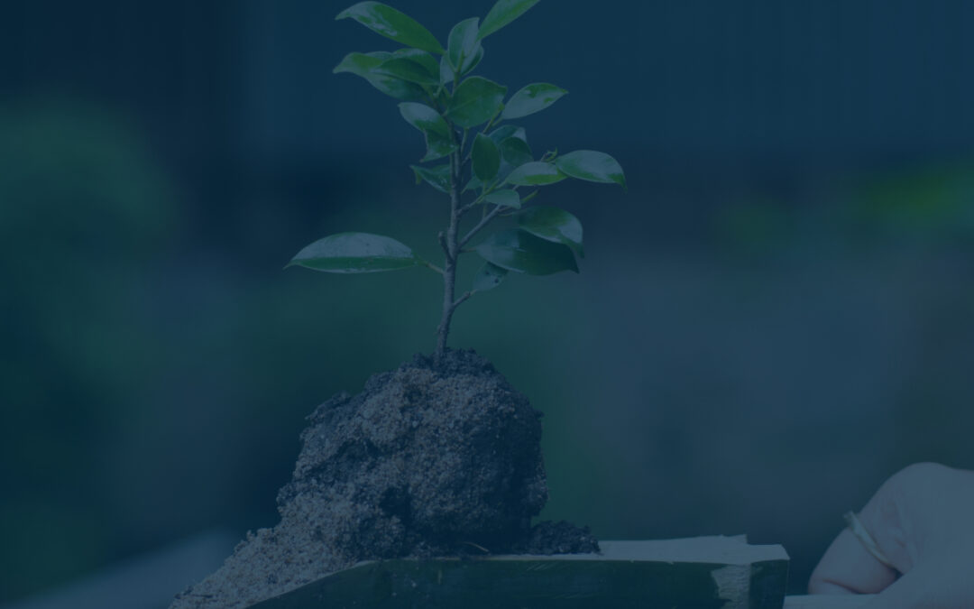 Arbor Day Foundation Awards Recognition to North Georgia Electric Membership Corporation as 2023 Tree Line USA Utility