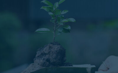 Arbor Day Foundation Awards Recognition to North Georgia Electric Membership Corporation as 2023 Tree Line USA Utility