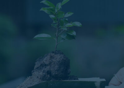 Arbor Day Foundation Awards Recognition to North Georgia Electric Membership Corporation as 2023 Tree Line USA Utility