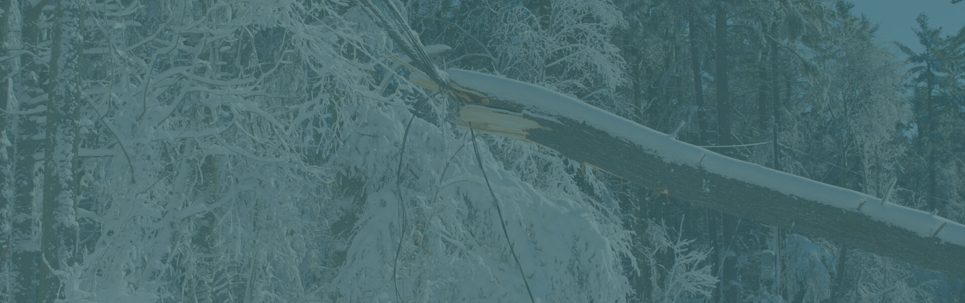 winter storm